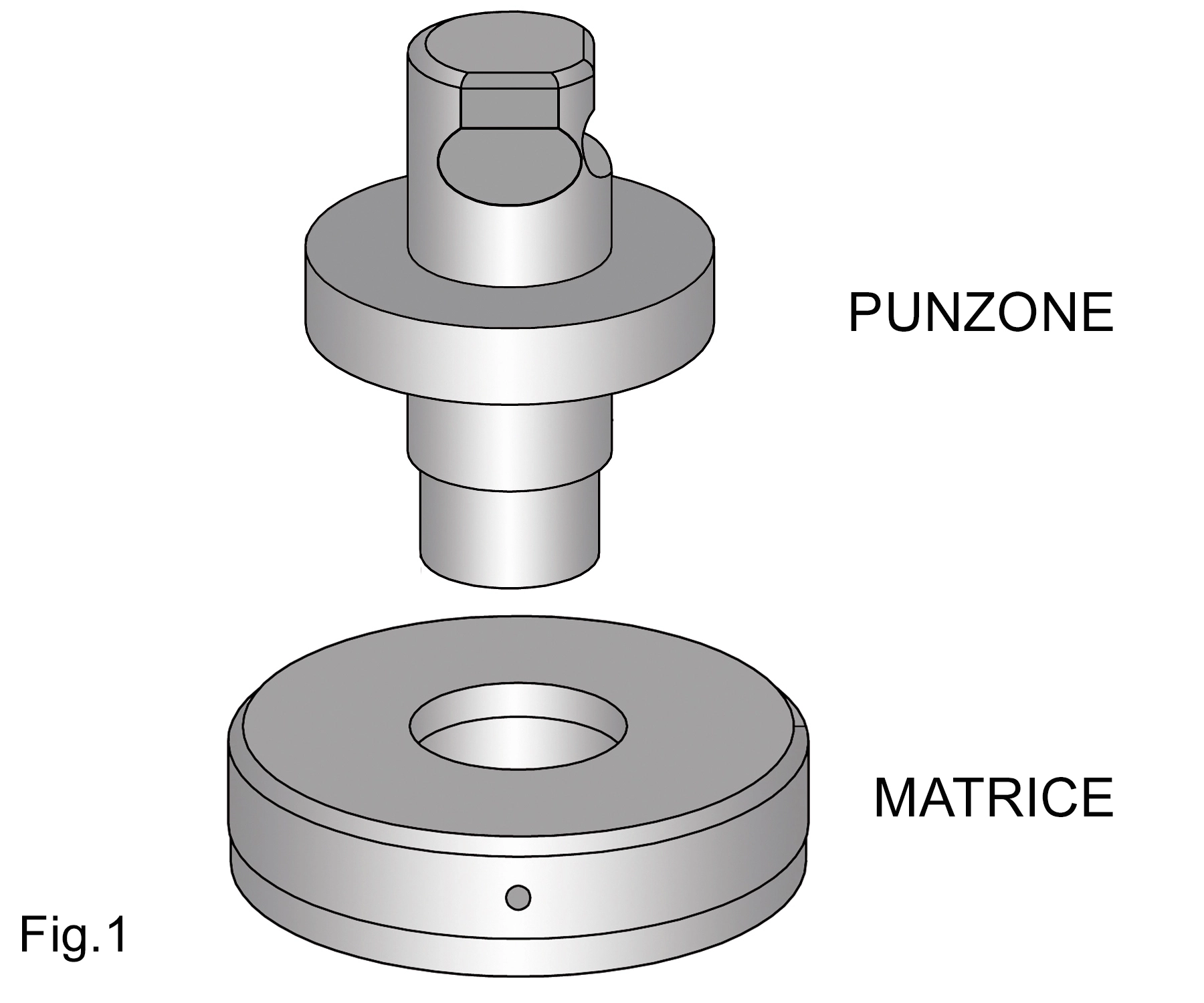 Punzone e matrice per punzonatura